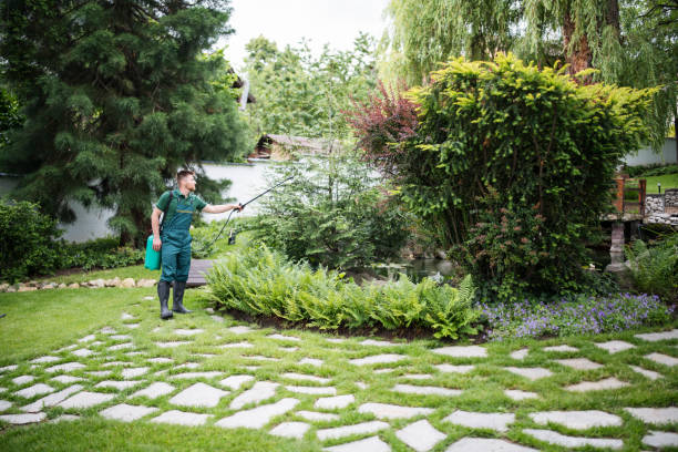 Best Affordable Pest Control Services  in Douglasville, GA