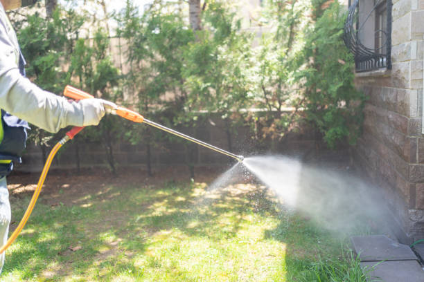 Best Wasp Removal Services  in Douglasville, GA