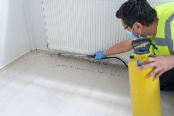 Best Pest Control Near Me  in Douglasville, GA