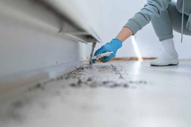 Best Best Pest Control Companies  in Douglasville, GA